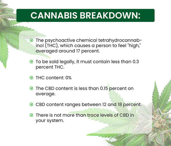 Cannabis Breakdown