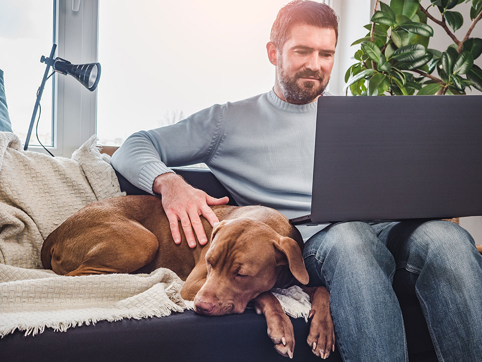 man working on laptop with dog