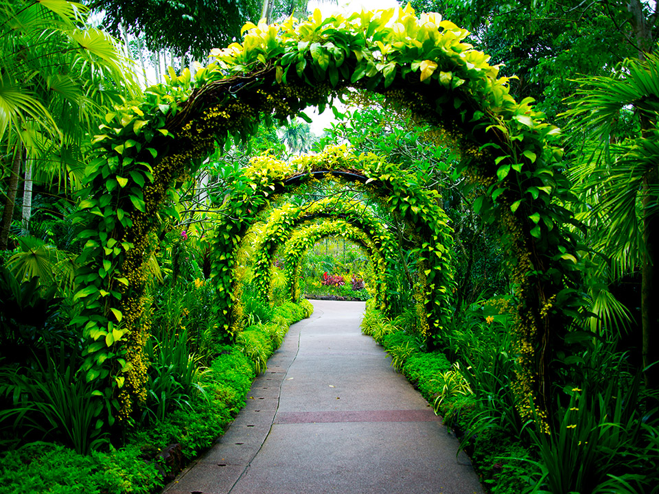 botanic gardens Singapore